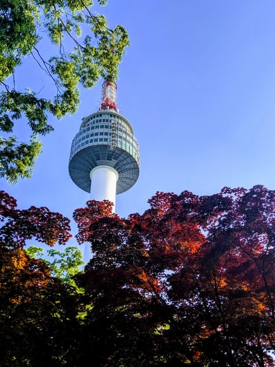 图聚科技